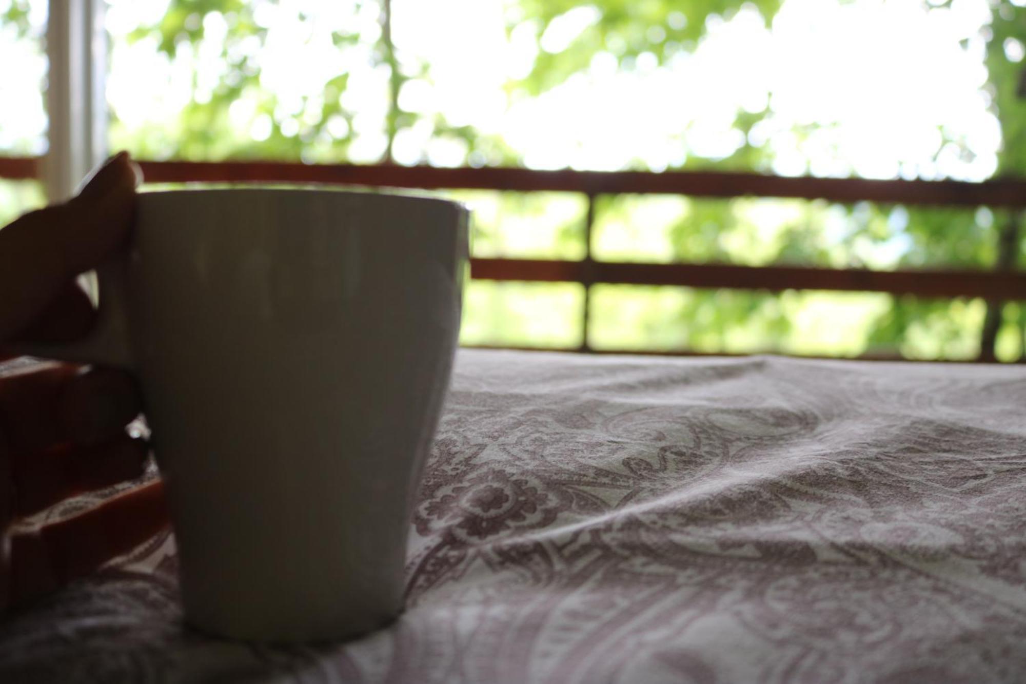 Vita Mia Pazin Ruang foto